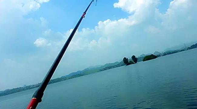 電腦版釣魚游戲哪個最好_電腦桌面釣魚游戲_釣魚看漂游戲電腦版下載