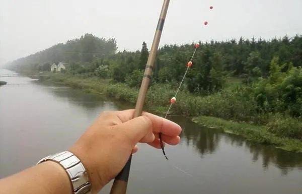 大肚漂怎么安裝圖解_漂肚粗好還是細好_浮漂漂肚變形怎么處理
