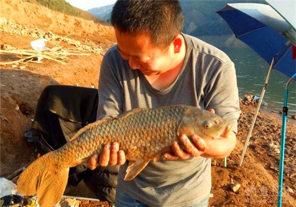 春季釣魚技巧必看_釣魚春季怎么釣_釣魚春季必看技巧視頻