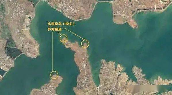 釣魚釣魚技巧_釣魚技巧及方法_釣魚技巧大全調漂方法
