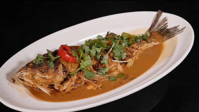 化紹新釣青魚視頻_青魚視頻網站_釣青魚視頻大全高清