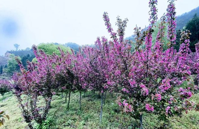 魚竿圖片 無聲釣具畫卷：寧靜自由與美好回憶的交織