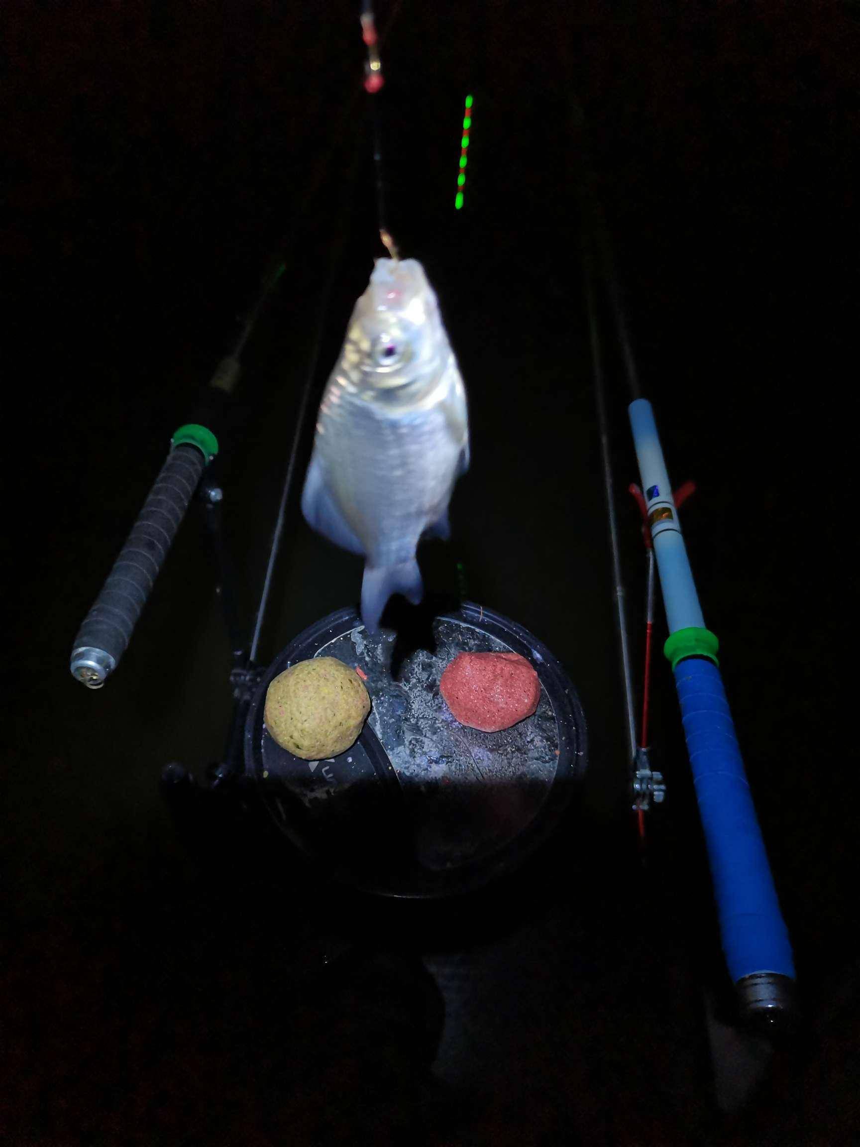 秋季釣鯉魚餌料配方_釣秋季鯉魚配方餌料大全_秋季釣鯉魚餌料怎么配