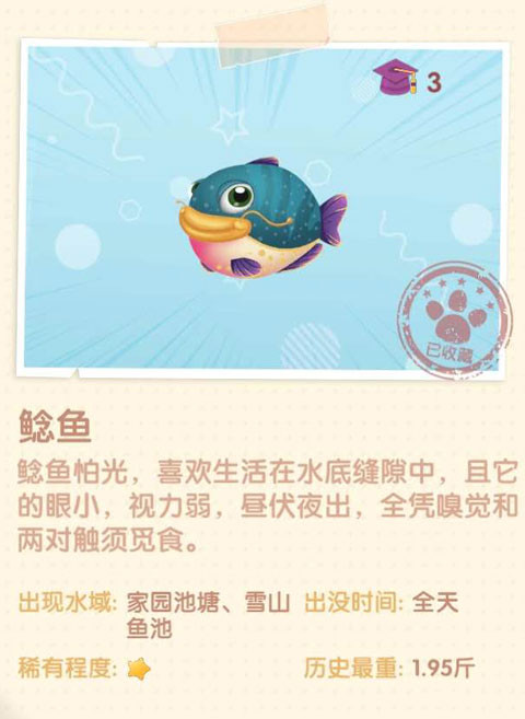 探尋魔法鯰魚之謎：神秘生物隱匿何方？如何成功捕獲？