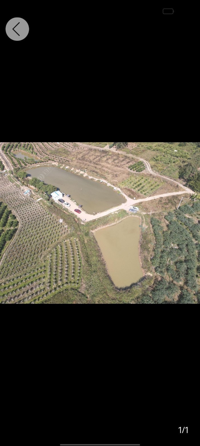 泰安釣點分享_泰安釣場_泰安釣場大全_泰安哪里能釣魚_泰安釣魚的地方有哪些