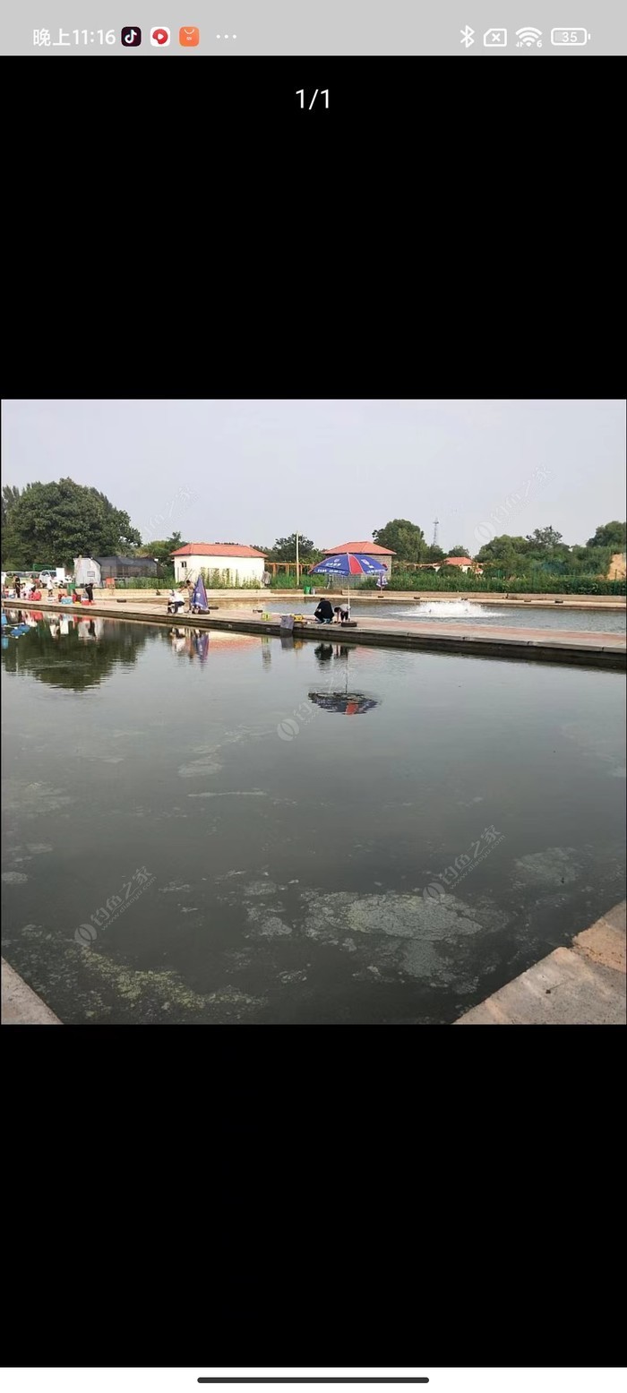 泰安釣場_泰安釣場大全_泰安哪里能釣魚_泰安釣魚的地方有哪些_泰安釣點分享