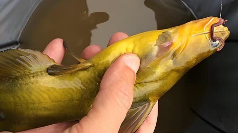 魚鉤推薦品牌有哪些_魚鉤品牌十大排行榜_魚鉤品牌推薦
