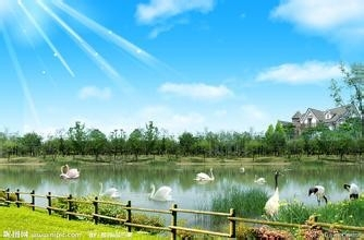 rich man poor man是什么意思_意思是說_意思是的英文