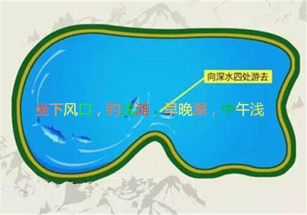 黑坑釣草魚用什么顆粒_黑坑釣草魚用什么餌最好用_黑坑釣草魚餌料