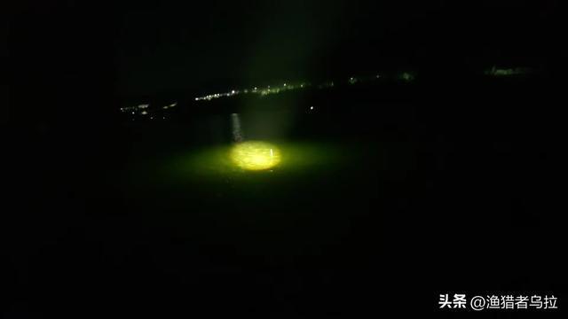 玉米釣鯉魚技巧_玉米釣鯉魚絕招_釣玉米絕招鯉魚視頻