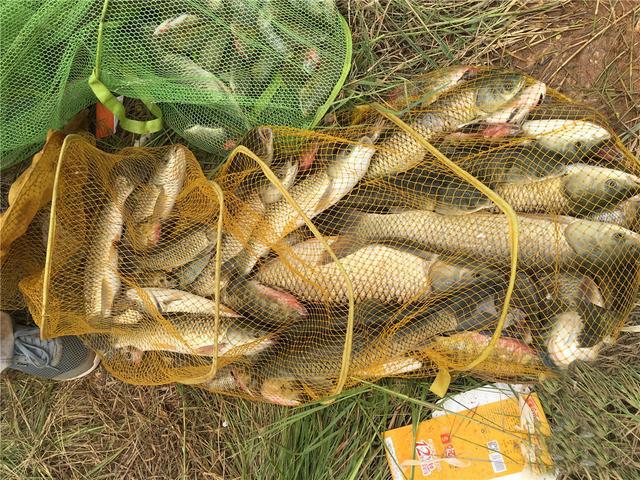 深水釣翹嘴用什么餌料_釣翹嘴魚的最佳水深_釣水深魚最佳翹嘴方法