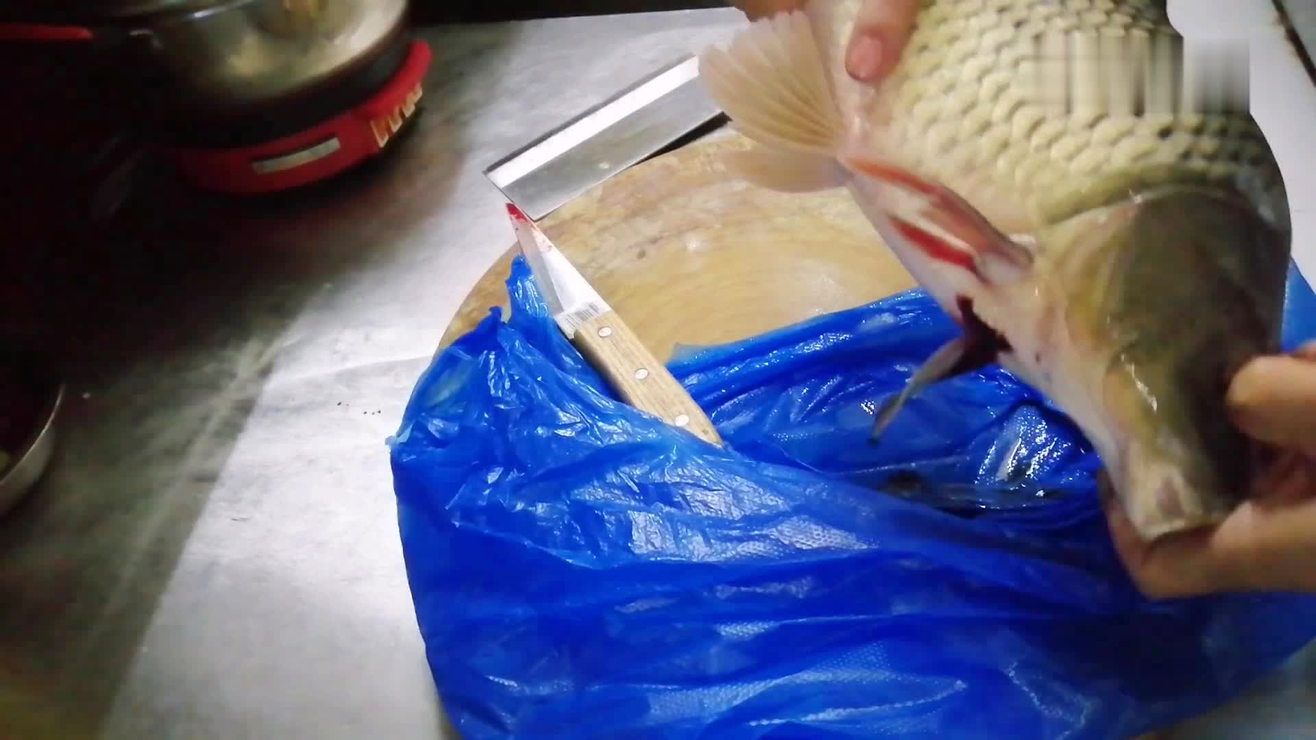簡單的燉鯉魚_燉鯉魚怎么吃_鯉魚怎么燉好吃又簡單