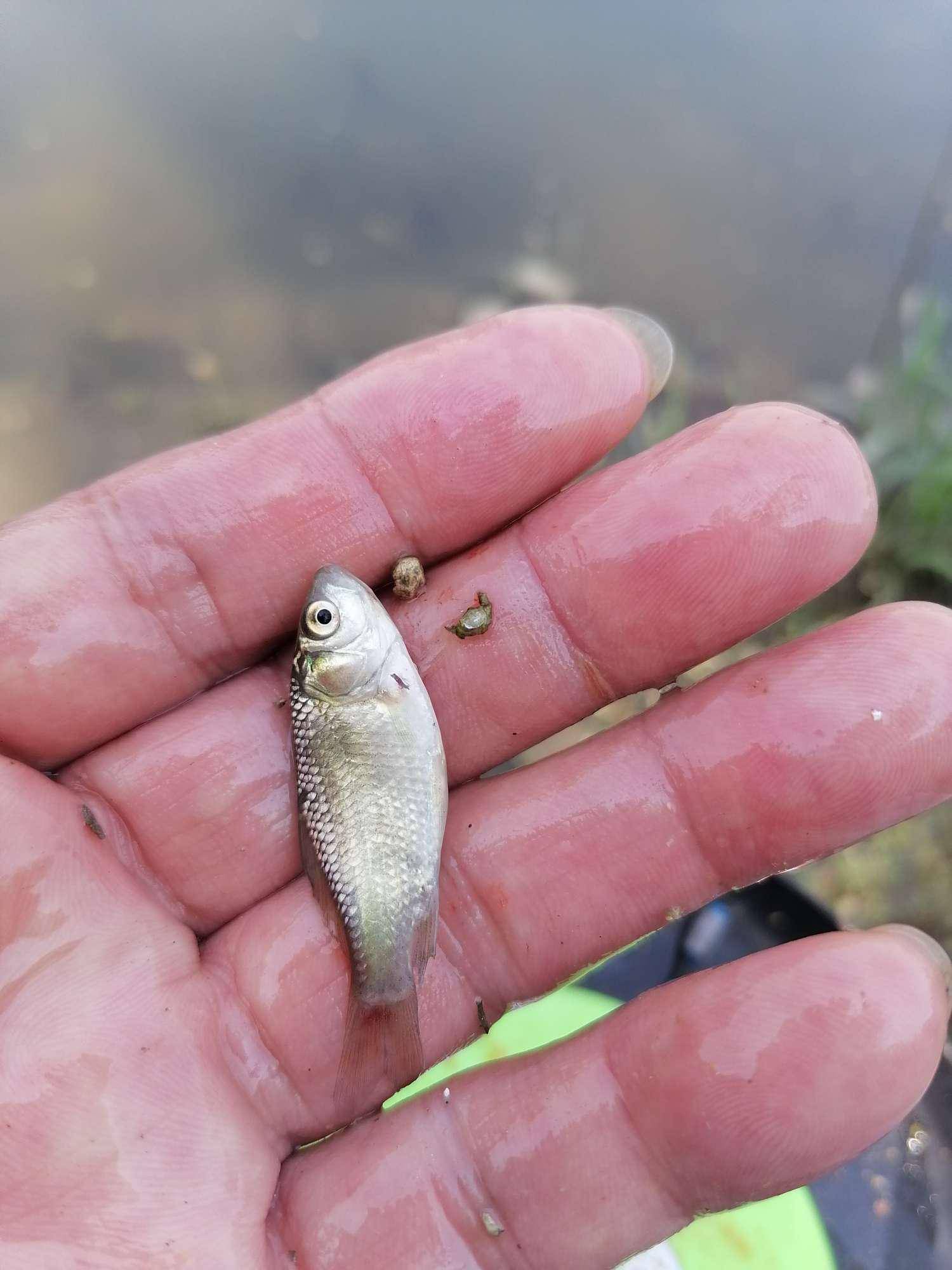 廣州南站周邊釣魚：享受寧靜，體驗樂趣與挑戰