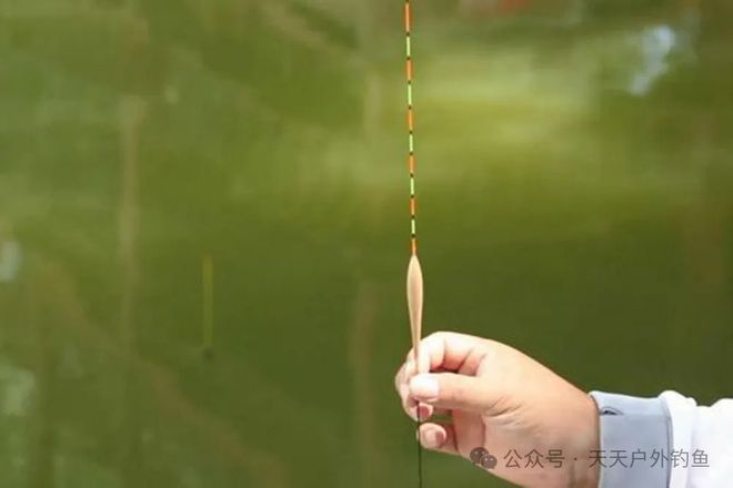 釣魚視頻野釣實戰大魚視頻_釣魚教學視頻野釣全攻略_釣魚視頻野釣教學視頻大全