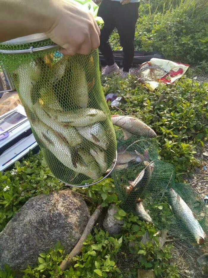 同沙水庫是傷心之地釣魚之家_同沙水庫是傷心之地釣魚之家_同沙水庫是傷心之地釣魚之家