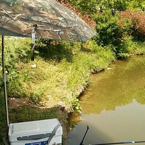 臨沂釣魚交流群_臨沂釣魚水庫_臨沂免費湖庫大全-釣魚之家