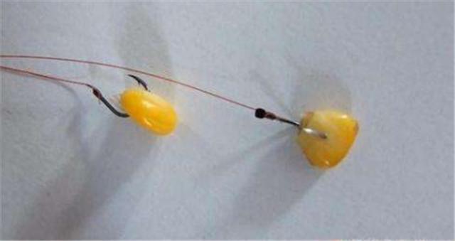 釣草魚視頻野釣實戰_釣草魚用什么餌料最好視頻_釣草魚視屏