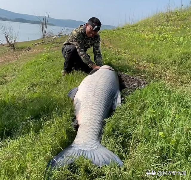 海釣用什么餌_釣海魚餌_海釣餌料配方大全集