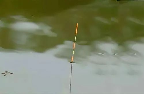 走水釣魚雙鉛調漂視頻_鉛到底怎么調漂視頻_調鉛調漂