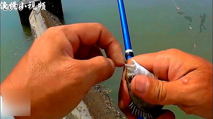 冬季釣魚技巧大揭秘：陽光充足、葷釣為主，輕松釣到大魚