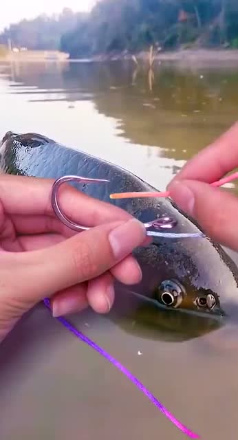 冬季釣魚技巧_釣魚冬天怎么釣_釣魚冬季技巧圖解