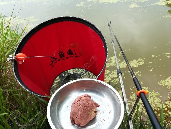 初冬黃河野釣_冬季黃河釣魚技巧_釣魚黃河冬季技巧和方法
