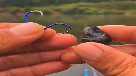 魚鉤和八字環的綁法圖解_魚鉤怎么綁圖解甲狀腺_綁魚鉤的方法圖解視頻