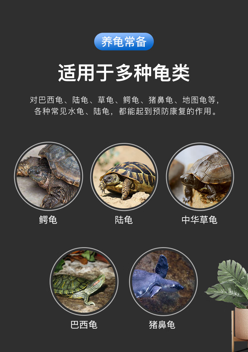 烏龜白眼病死會傳染嗎_烏龜白眼病多久會死_烏龜白眼病死會死嗎