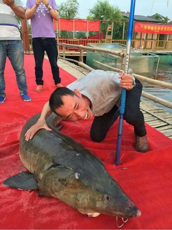 釣魚大全_釣魚世界排名_全球釣魚大全