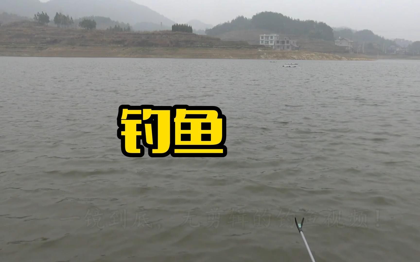 貴州釣魚視頻野釣_貴州釣魚論壇_貴州釣魚吧