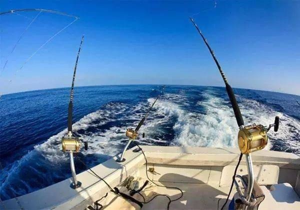 海釣視頻教學視頻_海釣視頻教程_海釣海釣視頻
