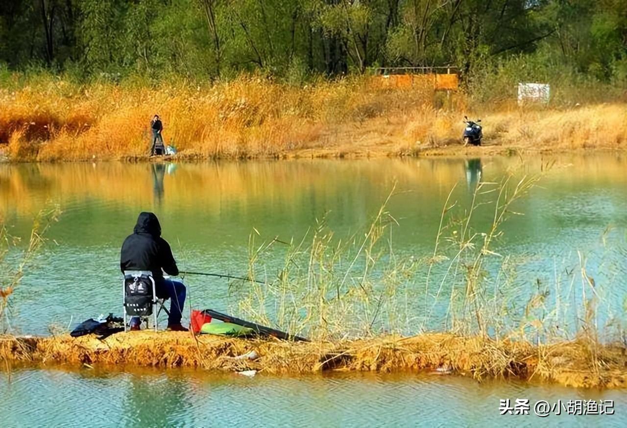 一年四季什么時間段最好釣魚必看_釣魚的好季節是什么時候_一年四季最好釣魚的時間
