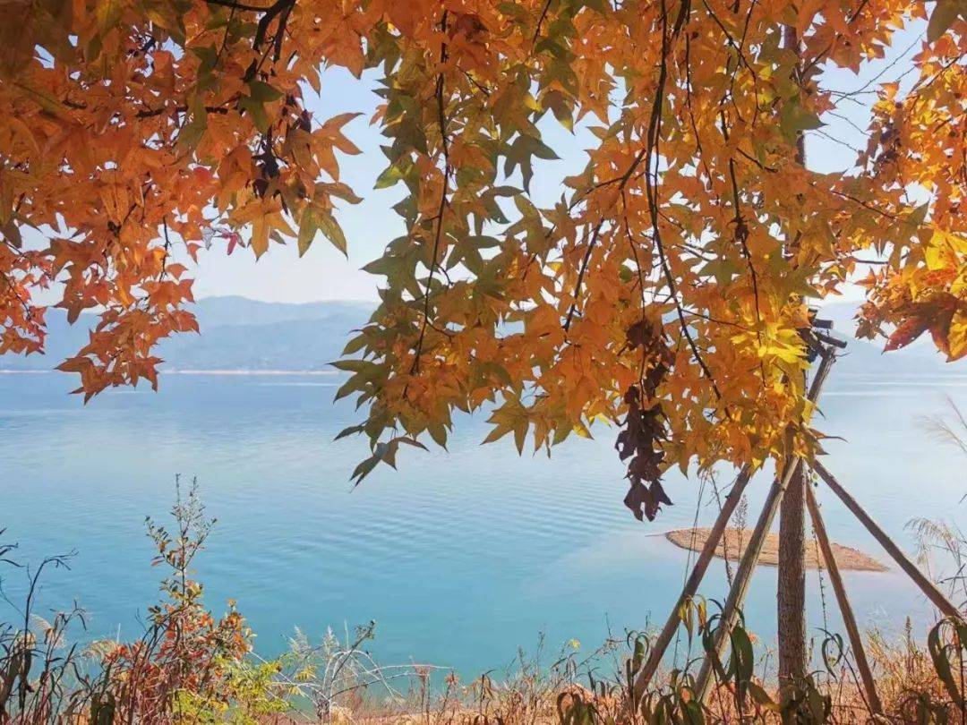 釣魚江湖行_東江湖 釣魚_江湖釣止