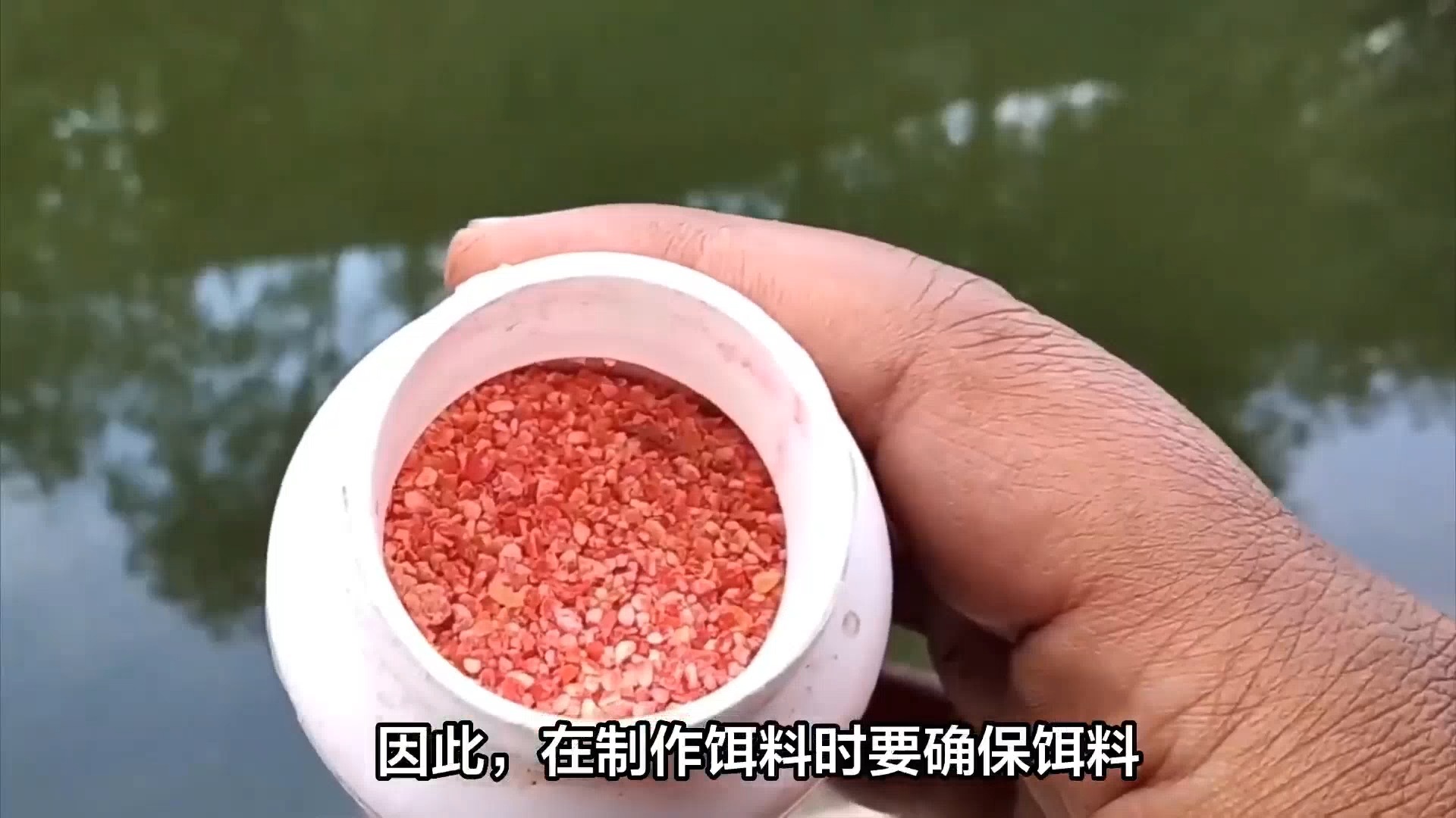 水庫釣魚教程_夏季在水庫釣鰱鳙魚的實戰技巧大全必看_水庫釣魚方法大全