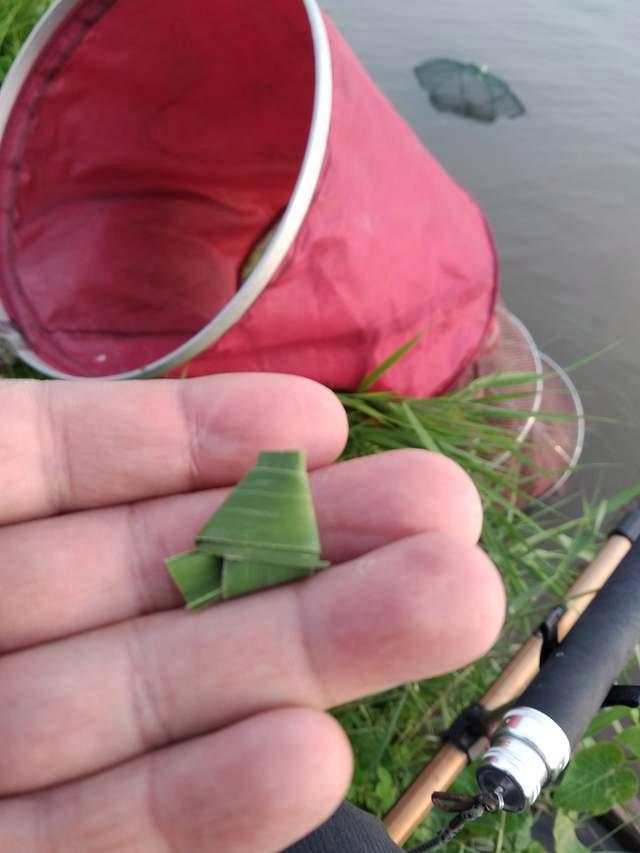 釣魚人草窩野釣的相關釣魚技巧_草窩里釣魚_野釣草窩視頻