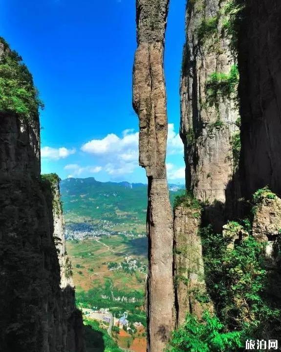 寰宇地理為什么停播_寰宇地理2020回放_寰宇地理全集