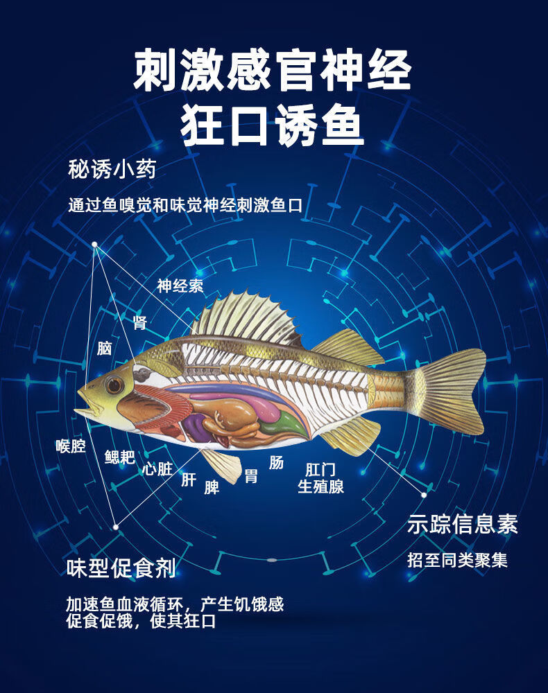 廣東釣草魚用什么餌料_廣東野釣草魚用什么餌最好_在廣東釣草魚用什么餌最好