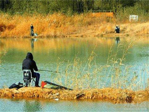 盛夏陰雨天，垂釣黃金時！水溫適宜、魚類活躍，快來享受釣魚樂趣吧