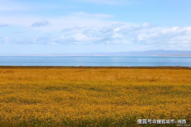 東平湖釣魚_2021東平湖野釣最佳位置_東平湖釣魚去哪個位置