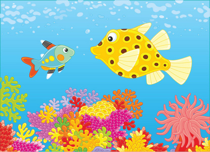 魚兒為什么會游_魚兒游過來游戲_魚兒游動