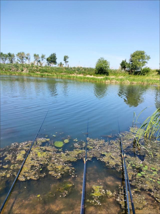 手竿野釣視頻大全_視頻大全野釣手竿圖片_野釣魚視頻大全手竿釣魚