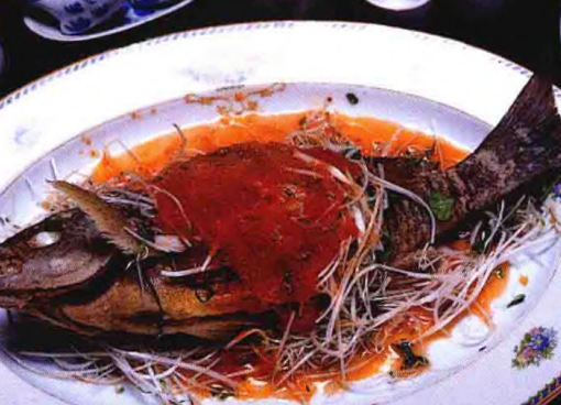 海釣鱸魚線組搭配技巧：釣線、前導線、鉤子與鉛墜的選擇