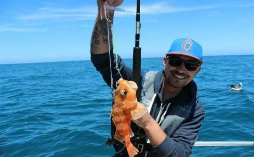 釣魚視頻教學_初學路亞釣魚視頻教學_新手怎么釣魚視頻教學