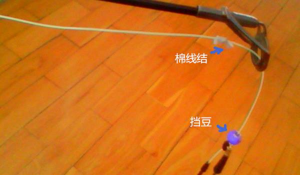 釣玉米絕招鯉魚圖片_釣玉米絕招鯉魚怎么釣_玉米釣鯉魚絕招
