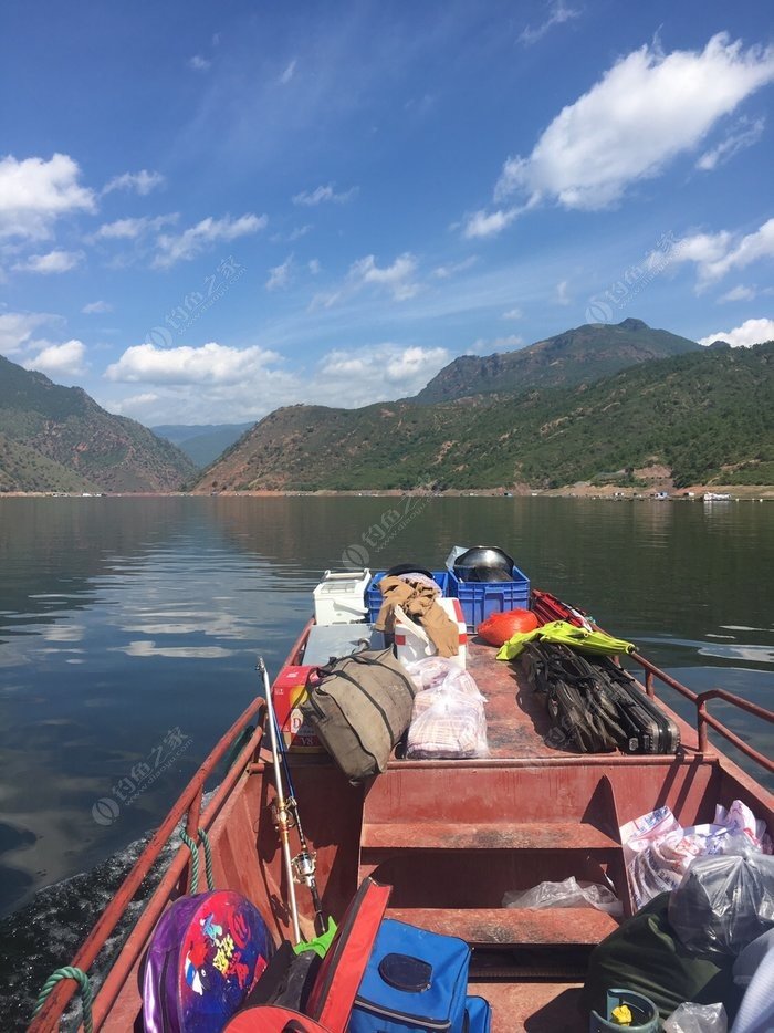 寧靜湖泊中的釣魚之旅：技巧與耐心的較量，收獲的不僅僅是魚