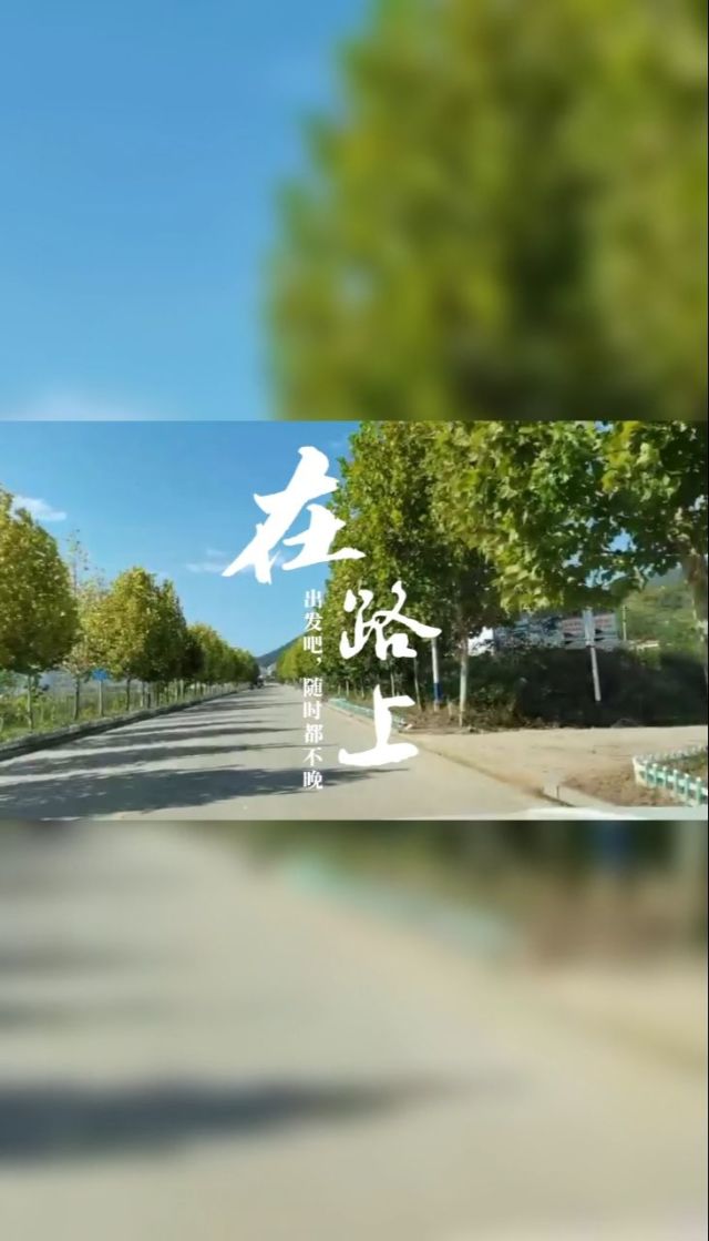 三友與頂點釣燈哪個好_兄弟們問下夜釣燈三友好還是頂點好_頂點釣燈和三友哪個好