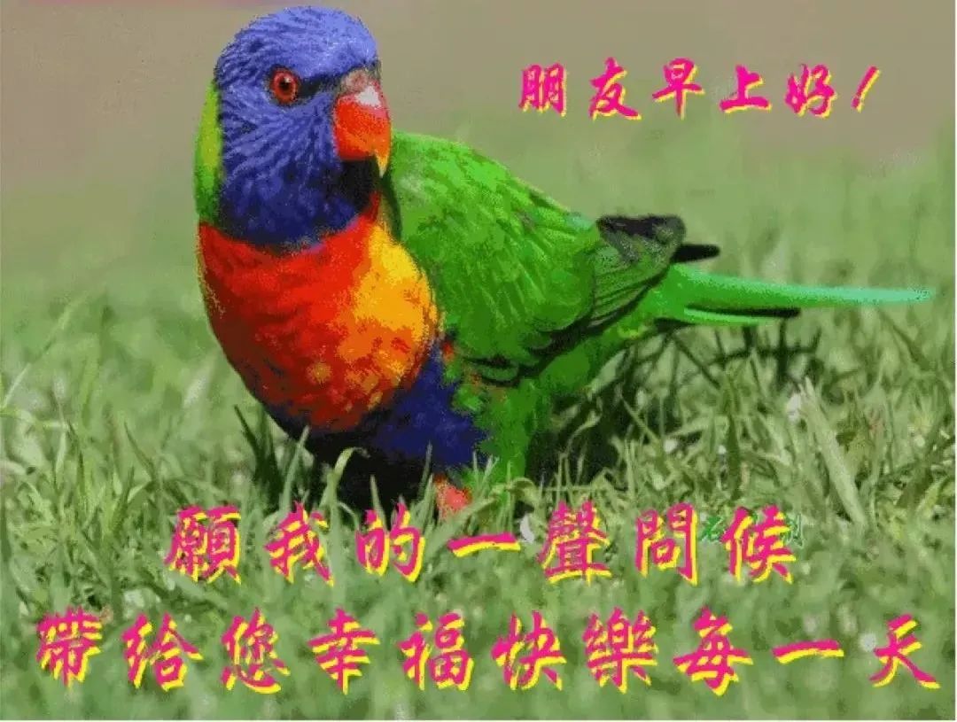 頂點釣燈和三友哪個好_兄弟們問下夜釣燈三友好還是頂點好_三友與頂點釣燈哪個好