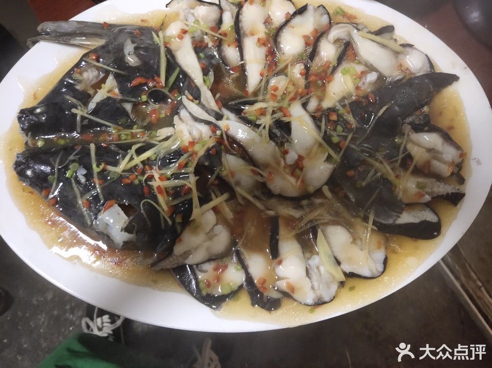 釣鴨嘴魚用什么餌料最好_野釣鴨嘴魚_鴨嘴魚怎么釣