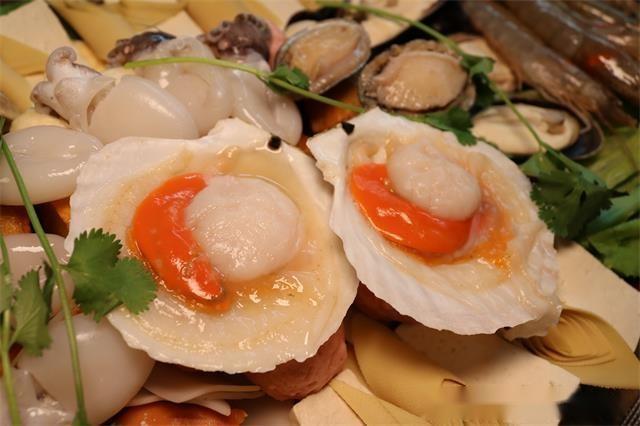新江灣城：繁華都市中的垂釣佳境，共享踏浪之旅與豐收驚喜