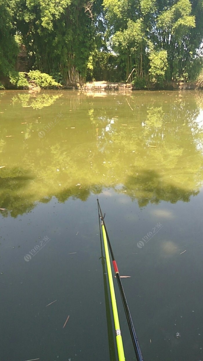 晚上釣草魚用草釣可以嗎_晚上釣草魚用什么餌最好_釣餌草魚晚上好用不